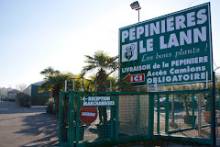 Jardinerie Gradignan Pépinière Le Lann